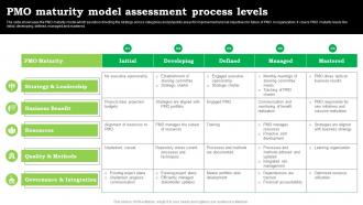 PMO Maturity Model Assessment Process Levels