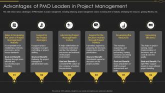 Pmo Roles In Implementation Digitalization Advantages Pmo Leaders Project Management