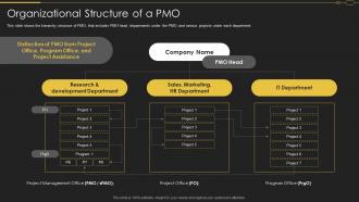 Pmo Roles In Implementation Of Digitalization Strategy Organizational Structure Of A Pmo