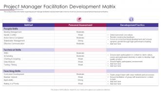 PMP Elements To Success IT Project Manager Facilitation Development Matrix