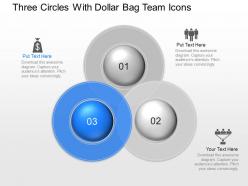 Pn three circles with dollar bag team icons powerpoint template slide
