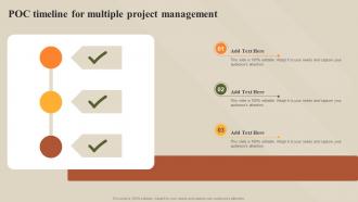 POC Timeline For Multiple Project Management