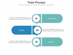 Point process ppt powerpoint presentation slides ideas cpb