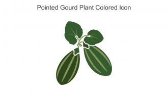 Pointed Gourd Plant Colored Icon In Powerpoint Pptx Png And Editable Eps Format