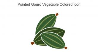 Pointed Gourd Vegetable Colored Icon In Powerpoint Pptx Png And Editable Eps Format