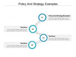Policy and strategy examples ppt powerpoint presentation file guide cpb