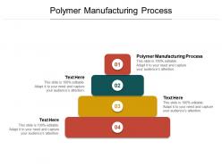 Polymer manufacturing process ppt powerpoint presentation show examples cpb