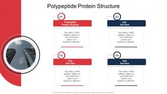 Polypeptide Protein Structure In Powerpoint And Google Slides Cpb