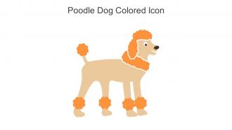 Poodle Dog Colored Icon In Powerpoint Pptx Png And Editable Eps Format