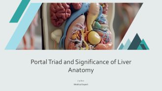 Portal Triad And Significance Of Liver Anatomy PPT Structure AT
