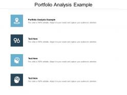 Portfolio analysis example ppt powerpoint presentation infographic template guidelines cpb