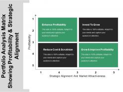 Portfolio analysis matrix showing profitability and strategic alignment