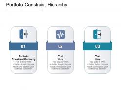 Portfolio constraint hierarchy ppt powerpoint presentation professional smartart cpb