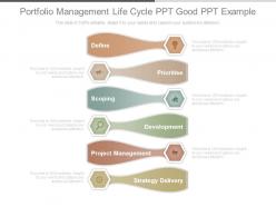 Portfolio management life cycle ppt good ppt example