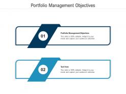 Portfolio management objectives ppt powerpoint presentation infographics outline cpb
