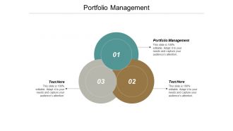 Portfolio management ppt powerpoint presentation show example introduction cpb