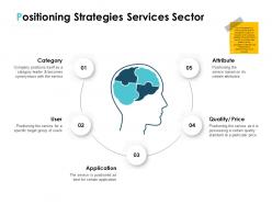 Positioning strategies services sector ppt powerpoint presentation portfolio