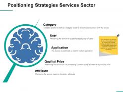 Positioning strategies services sector ppt professional display