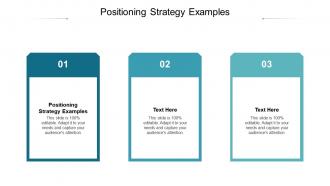 Positioning strategy examples ppt powerpoint presentation summary slide cpb