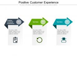 Positive customer experience ppt powerpoint presentation styles good cpb