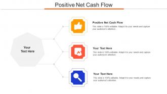 Positive Net Cash Flow Ppt Powerpoint Presentation Portfolio Design Templates Cpb