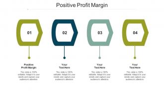 Positive Profit Margin Ppt Powerpoint Presentation Infographics Example Cpb