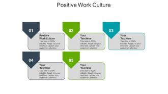 Positive work culture ppt powerpoint presentation professional inspiration cpb