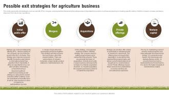Possible Exit Strategies For Agriculture Business Wheat Farming Business Plan BP SS
