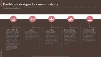 Possible Strategies For Cosmetic Industry Personal And Beauty Care Business Plan BP SS