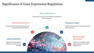 Post Transcriptional Modifications Regulate Gene Expression PPT Example AT Ideas Slides
