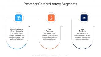 Posterior Cerebral Artery Segments In Powerpoint And Google Slides Cpb