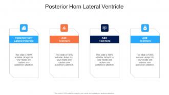 Posterior Horn Lateral Ventricle In Powerpoint And Google Slides Cpb