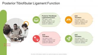Posterior Tibiofibular Ligament Function In Powerpoint And Google Slides Cpb