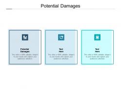 Potential damages ppt powerpoint presentation gallery ideas cpb