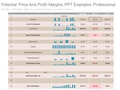 Potential price and profit margins ppt examples professional