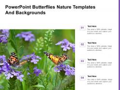 Powerpoint butterflies nature templates and backgrounds