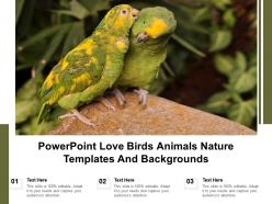 Powerpoint love birds animals nature templates and backgrounds