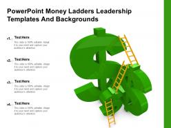 Powerpoint money ladders leadership templates and backgrounds