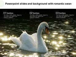 Powerpoint slides and background with romantic swan