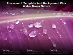 Powerpoint Template And Background Pink Water Drops Nature