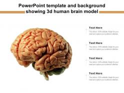 Powerpoint template and background showing 3d human brain model