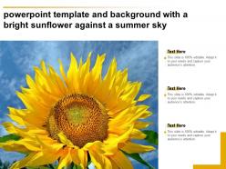 Powerpoint template and background with a bright sunflower against a summer sky