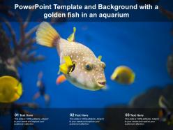 Powerpoint template and background with a golden fish in an aquarium