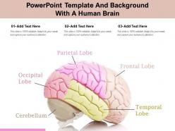 Powerpoint template and background with a human brain