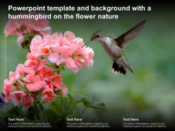 Powerpoint template and background with a hummingbird on the flower nature