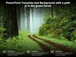 Powerpoint template and background with a path is in the green forest