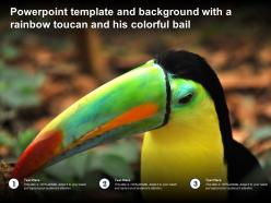Powerpoint template and background with a rainbow toucan and his colorful bail