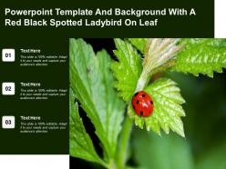 Powerpoint template and background with a red black spotted ladybird on leaf