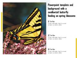 Powerpoint template and background with a swallowtail butterfly feeding on spring blossoms