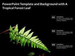 Powerpoint template and background with a tropical forest leaf